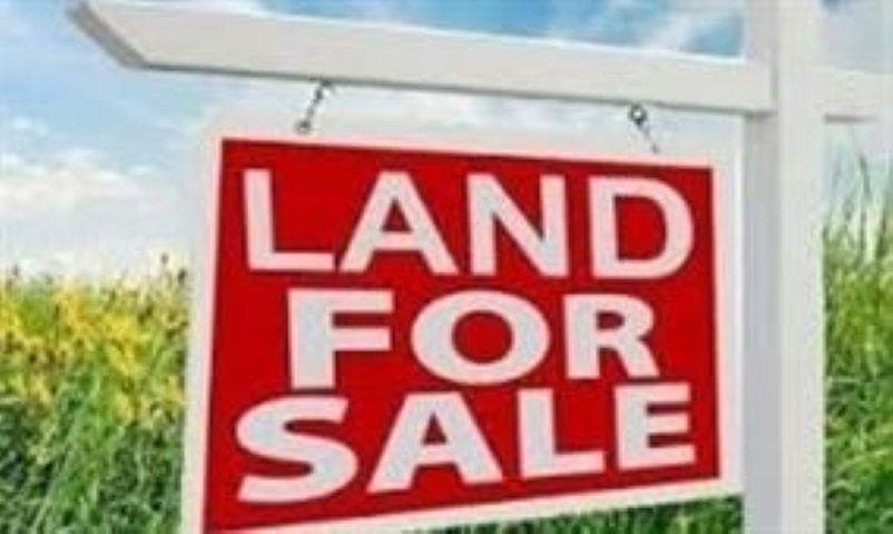 20908 SNOWFLAKE PLACE