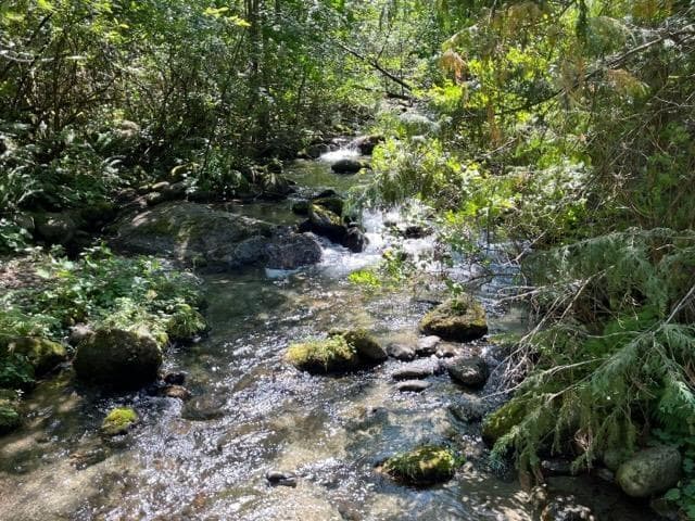 19 19743 FOSTER ROAD, Hope