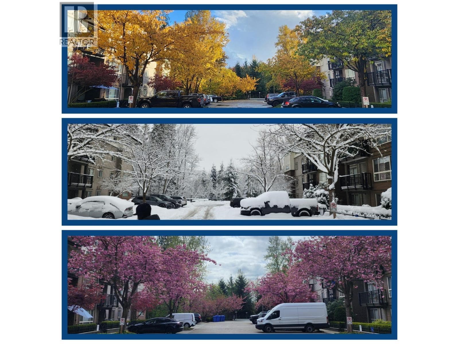 101 11665 HANEY BYPASS