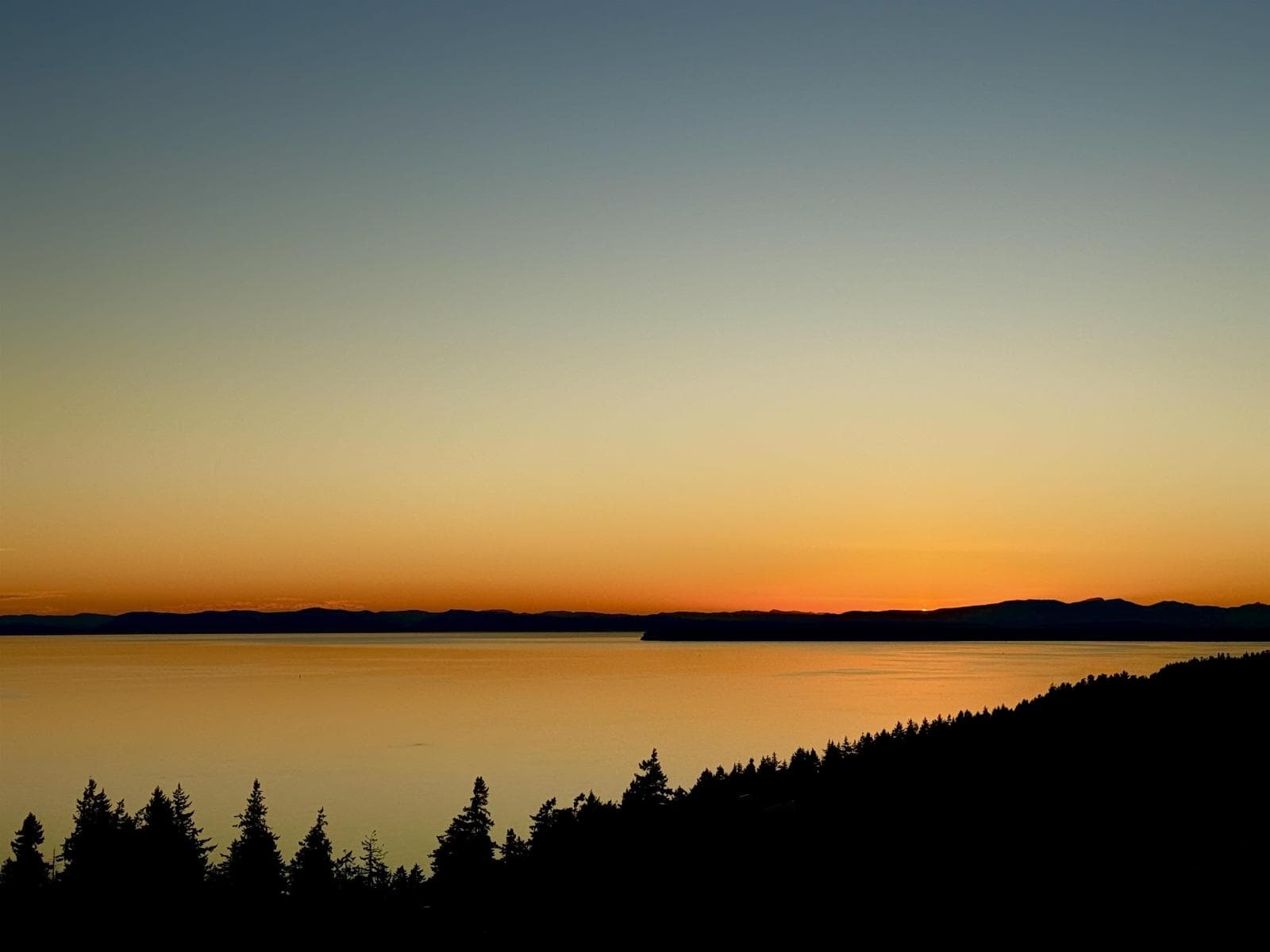 1804 1501 FOSTER STREET