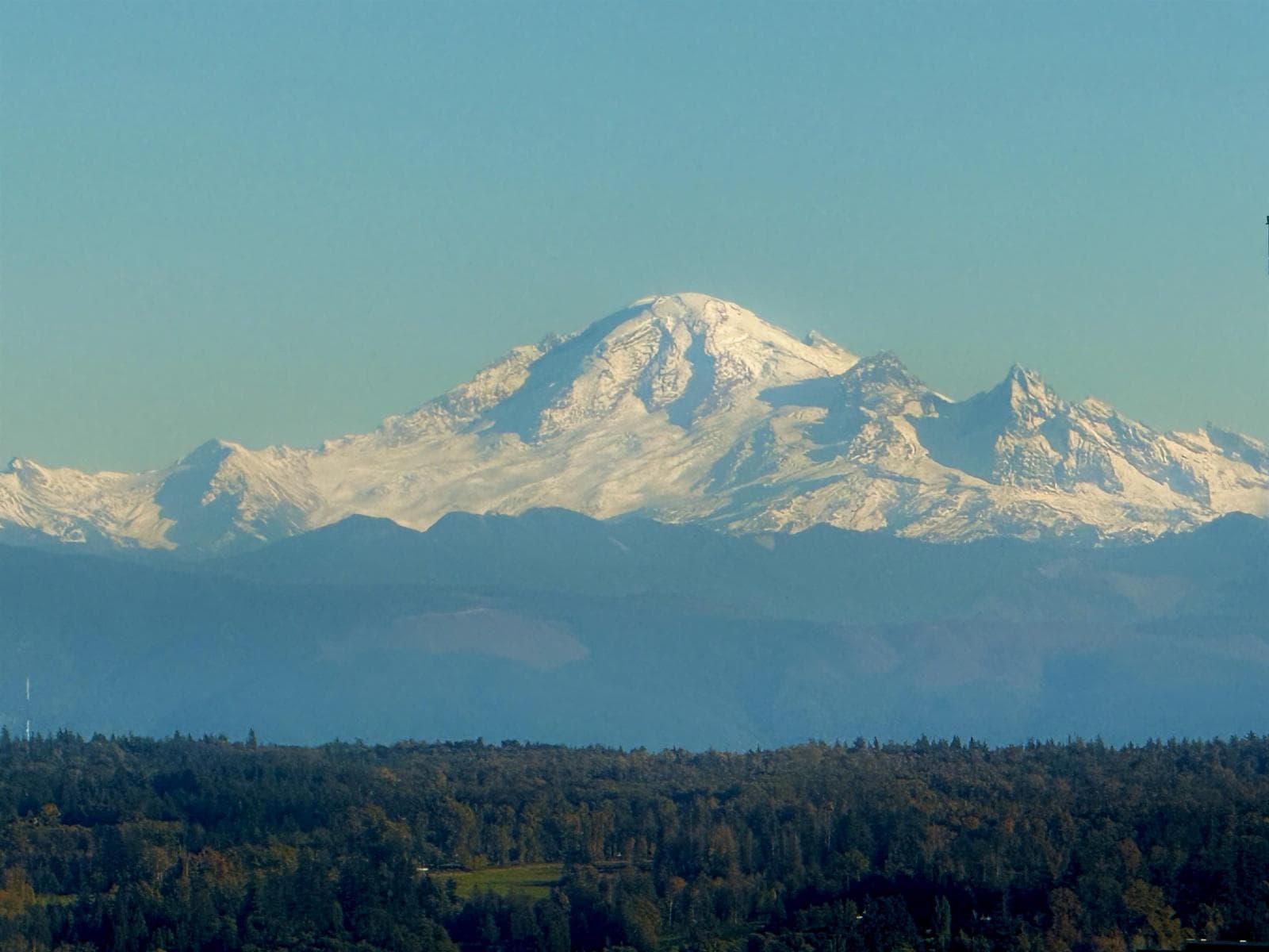 2001 1501 FOSTER STREET